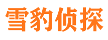 阳江外遇出轨调查取证